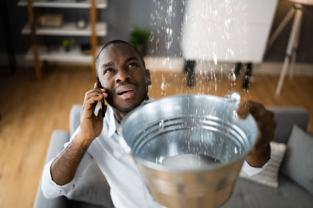 Best Water damage restoration services  in Hollister, MO