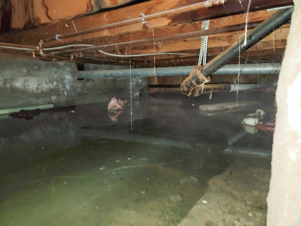Best Emergency water damage restoration  in Hollister, MO