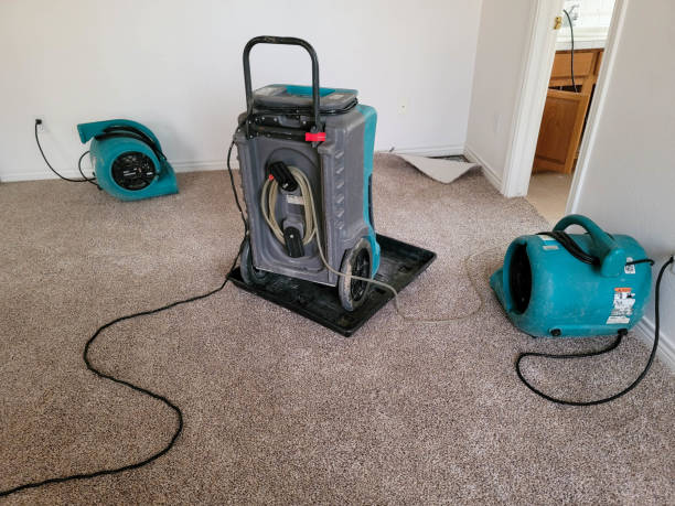 Best Commercial water damage restoration  in Hollister, MO