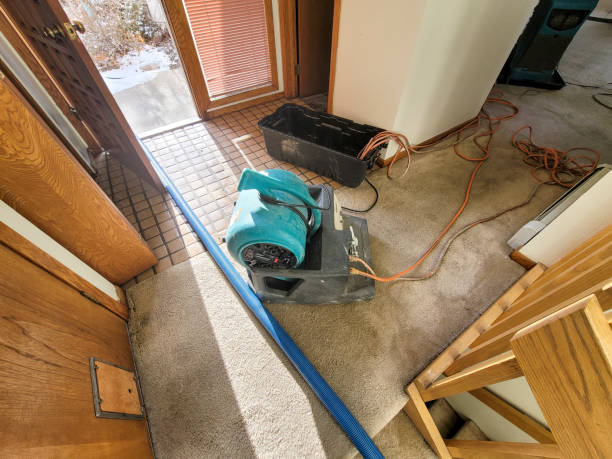Best Ceiling water damage repair  in Hollister, MO
