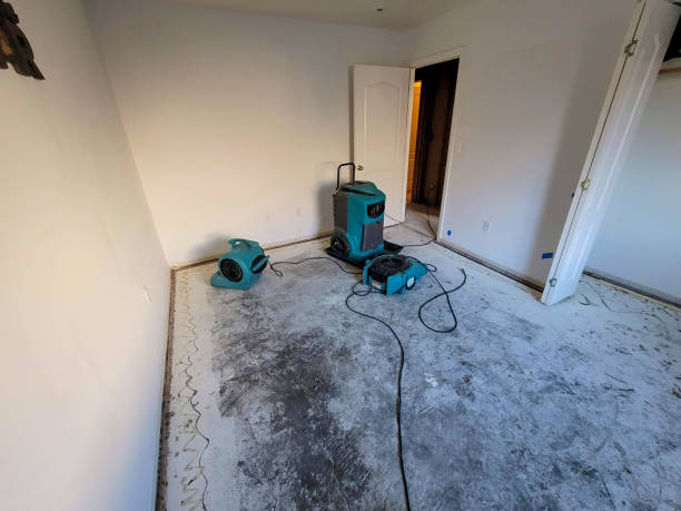 Water damage restoration experts in Hollister, MO