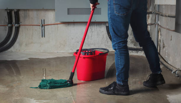 Best Basement water damage restoration  in Hollister, MO