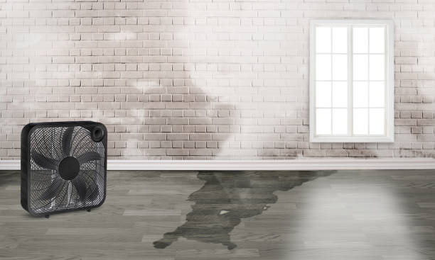 Professional Water damage restoration in Hollister, MO