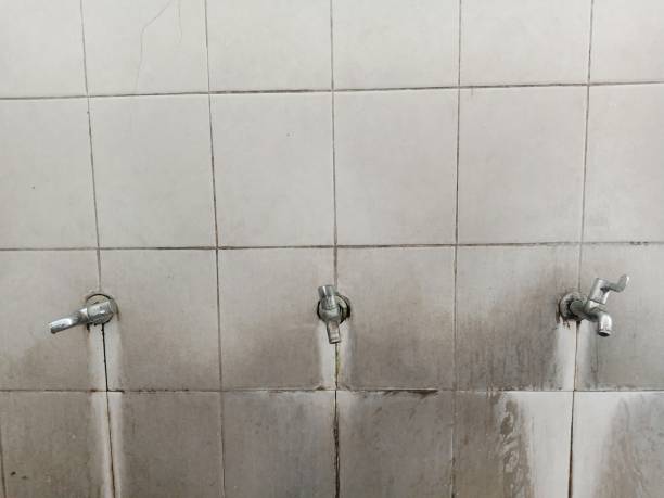 Best Residential water damage restoration  in Hollister, MO