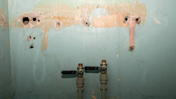 Best Emergency water damage restoration  in Hollister, MO