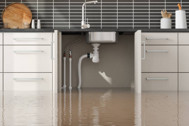 Best Water damage restoration near me  in Hollister, MO