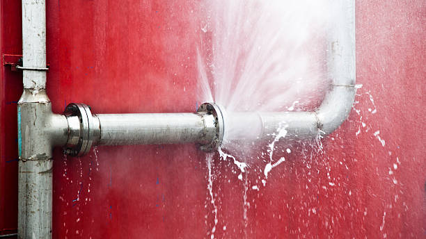 Best Local water damage restoration  in Hollister, MO